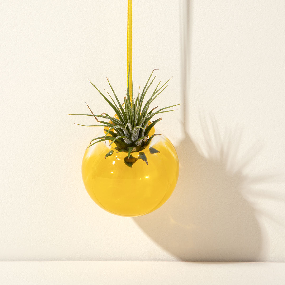 Bubble Vase Air Planter - Sun - Yellow