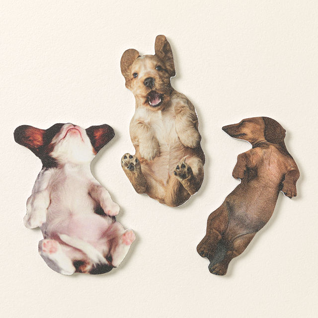 Scratch the Belly Nail Files &#8211; Set of 3