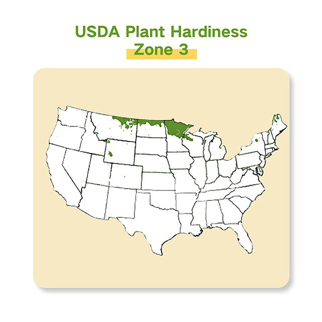 Grow Your Zone Seed Bank Gift Set