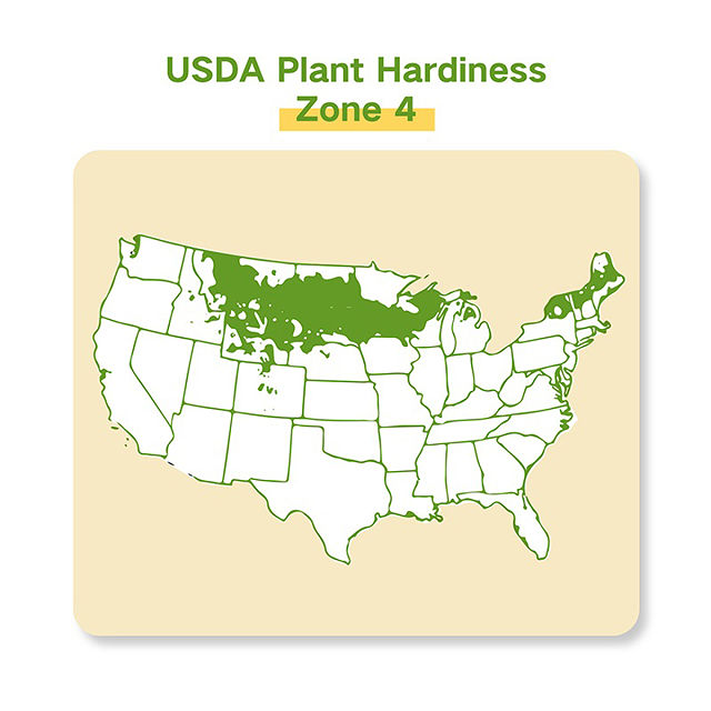 Grow Your Zone Seed Bank Gift Set