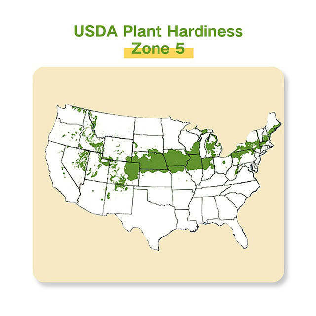 Grow Your Zone Seed Bank Gift Set