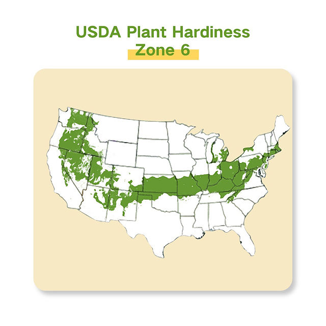 Grow Your Zone Seed Bank Gift Set