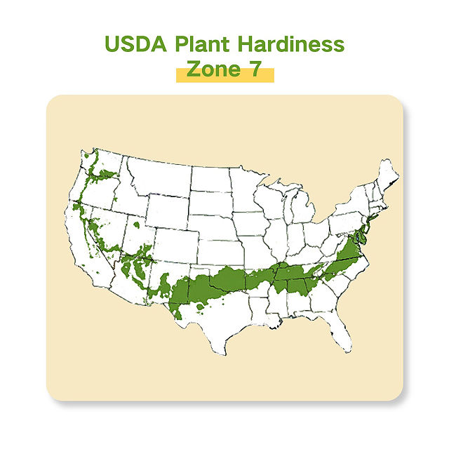 Grow Your Zone Seed Bank Gift Set