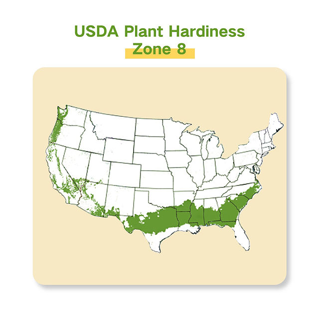 Grow Your Zone Seed Bank Gift Set