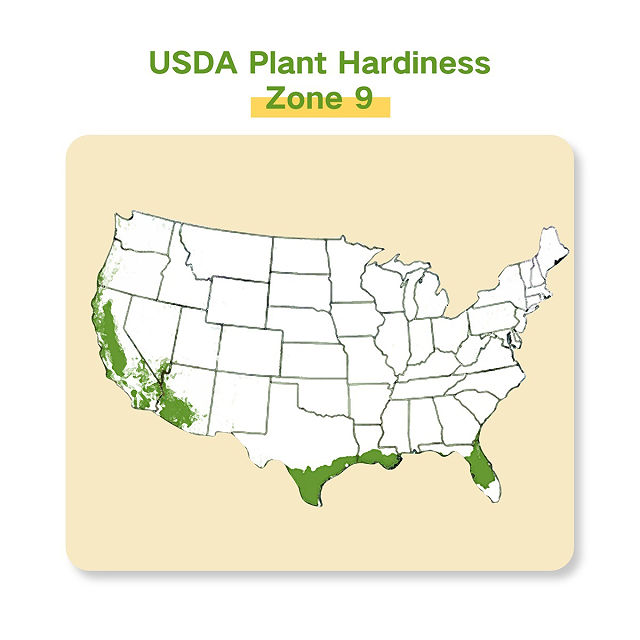 Grow Your Zone Seed Bank Gift Set