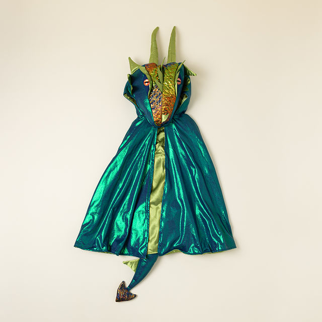 Wizard, Knight, or Dragon Dress Up