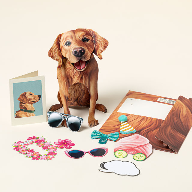 golden retriever dress Pop Up Card golden retriever fancy dress