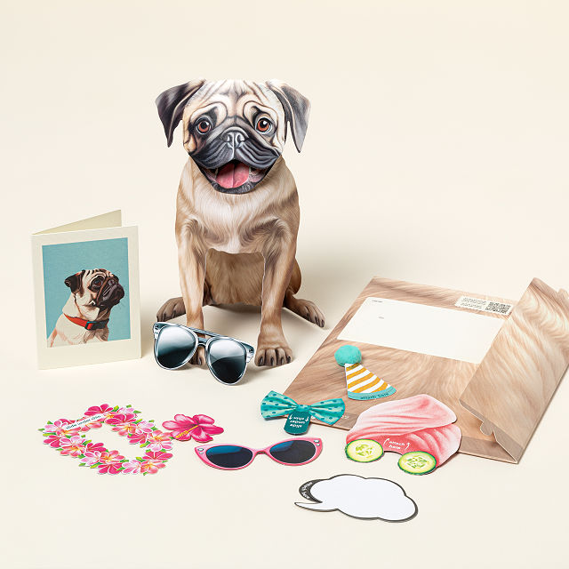 Dress Your Furry Friends Pop Up Greeting Card
