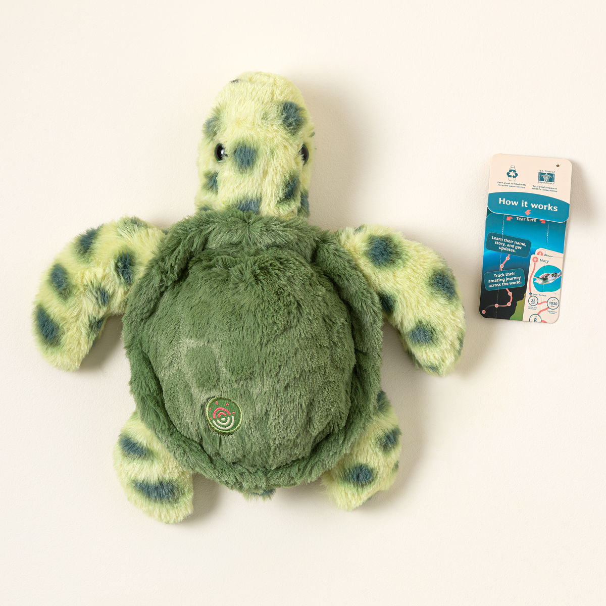 Animal Tracking & Conservation Plush - Turtle