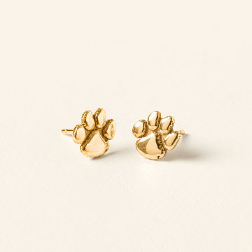 Show Your Spirit! College Stud Earrings