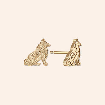 Show Your Spirit! College Stud Earrings