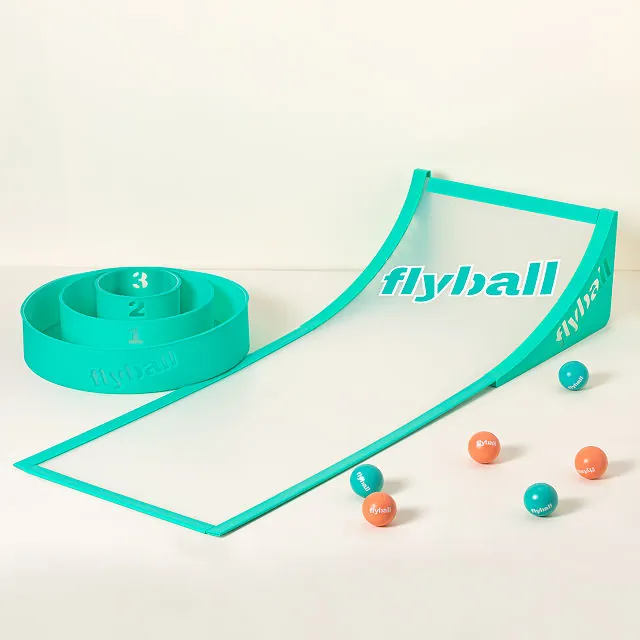 Flyball Lawn and Beach Game