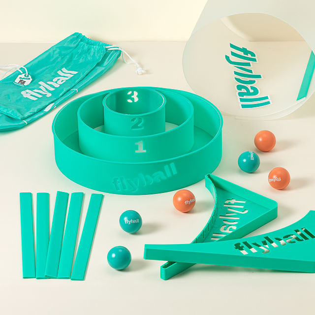 Flyball Lawn and Beach Game