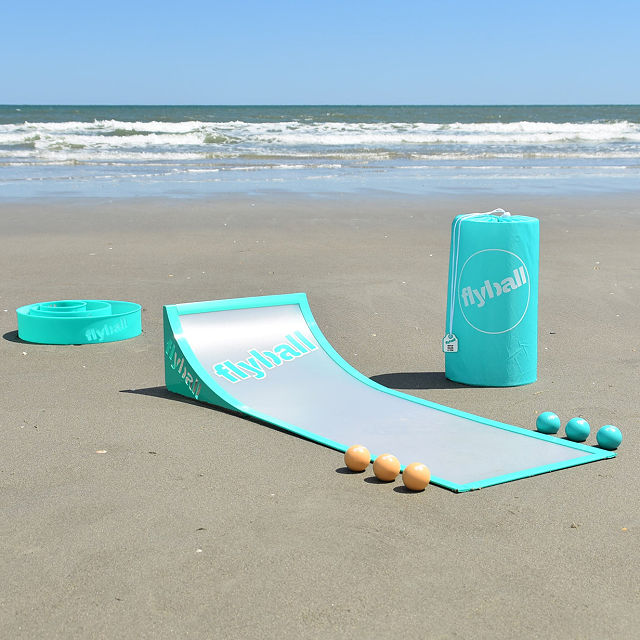 Flyball Lawn and Beach Game