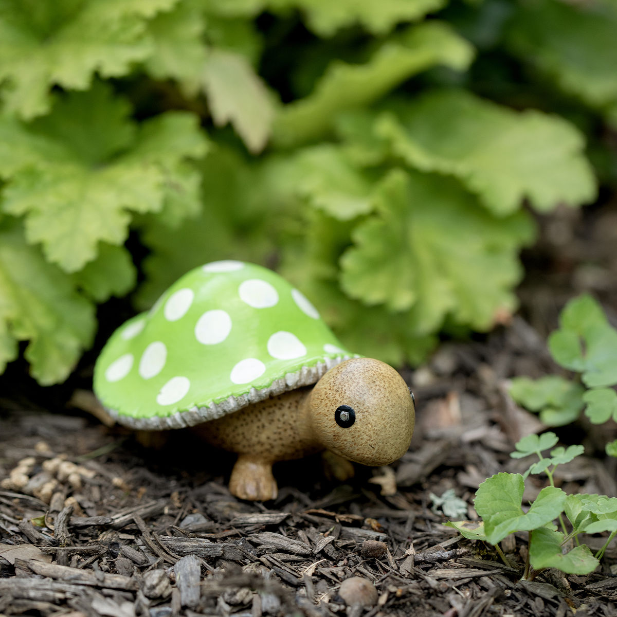 Mushroom Garden Turtle