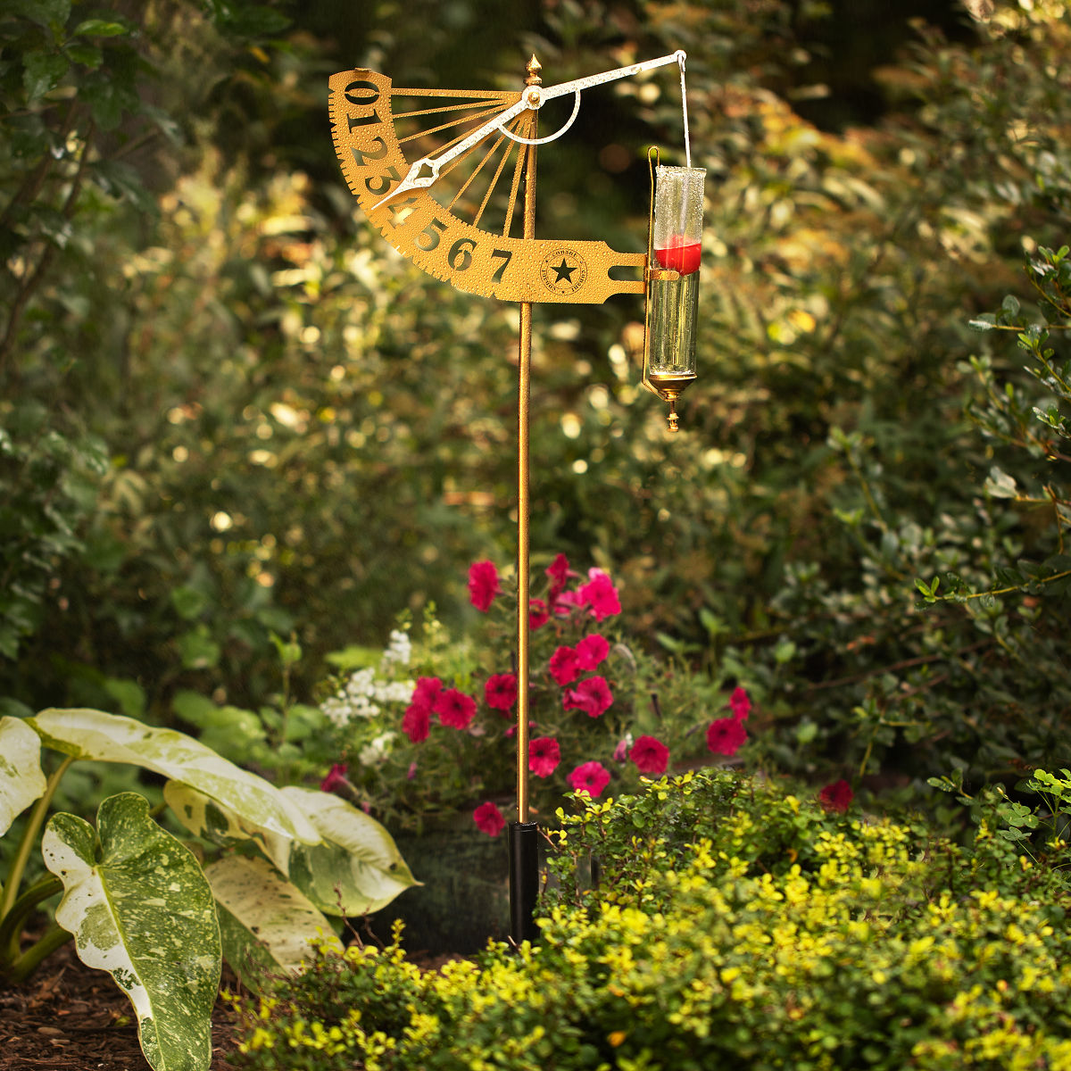 Kinetic Ruler Rain Gauge