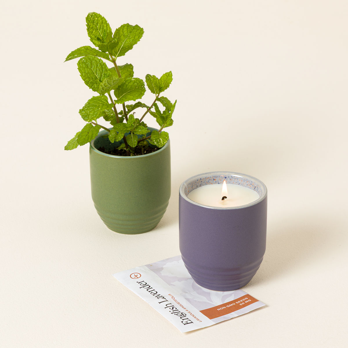 Violet Hour: Lavender - Flame to Flora Seed Kit Candle | candle planter