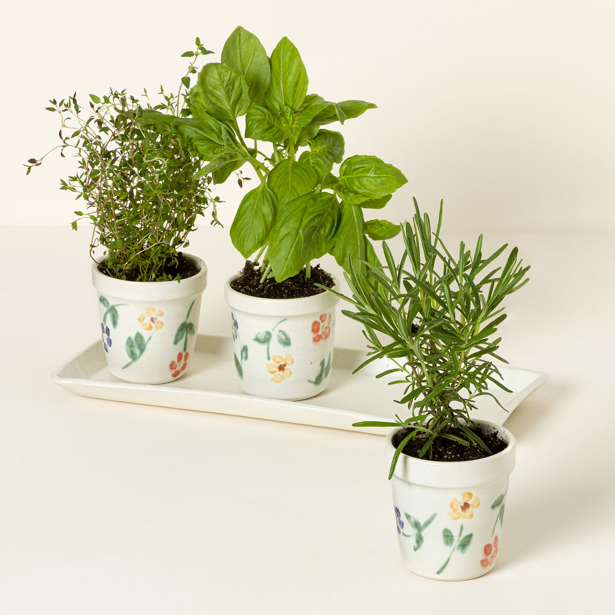 Uncommon Goods | Ceramic Windowsill Herb Garden | herb garden