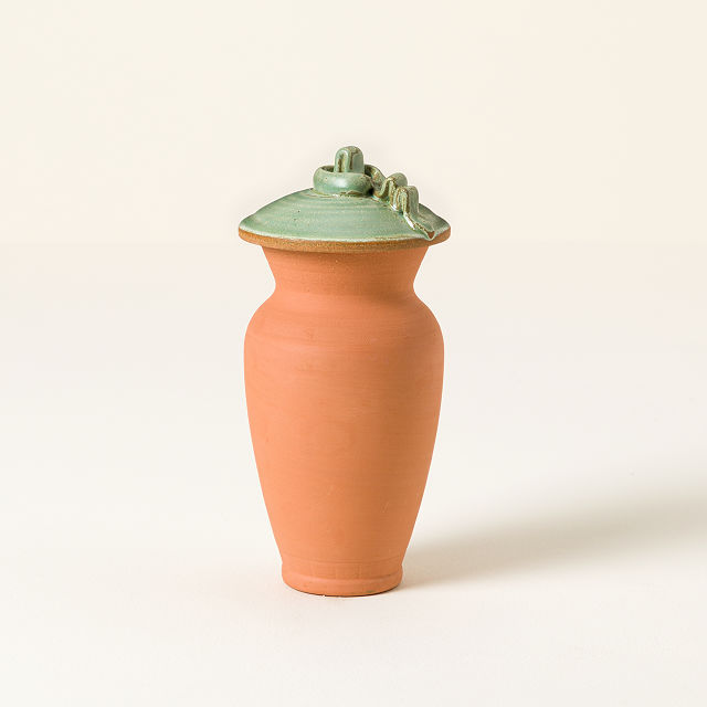 Self-Watering Terracotta Olla