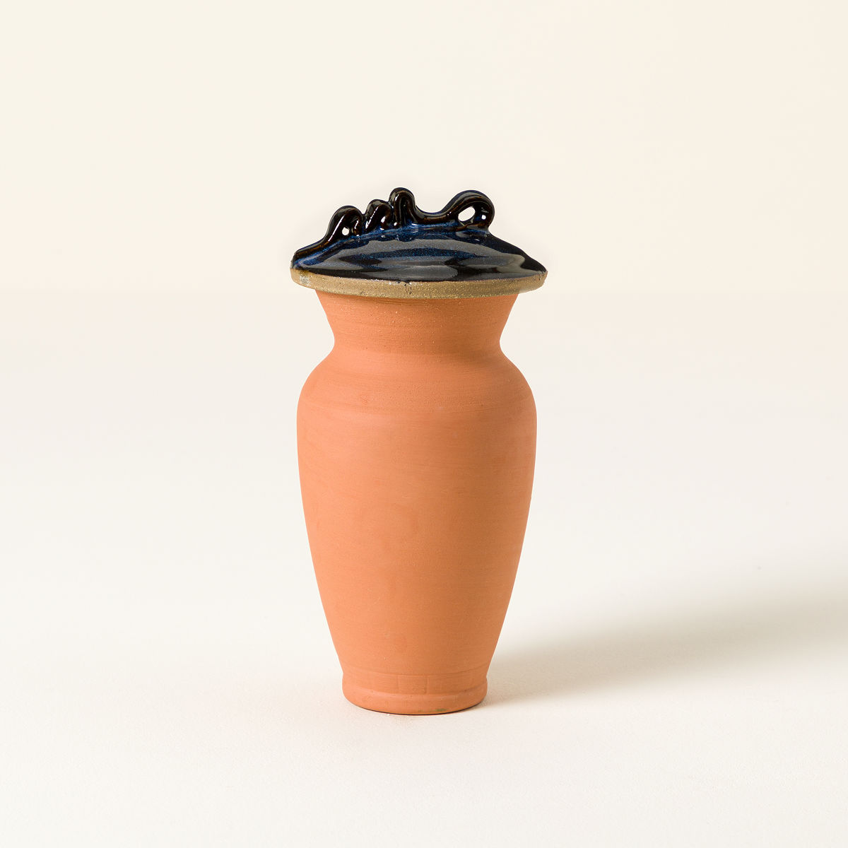 Self-Watering Terracotta Olla - Dark Blue