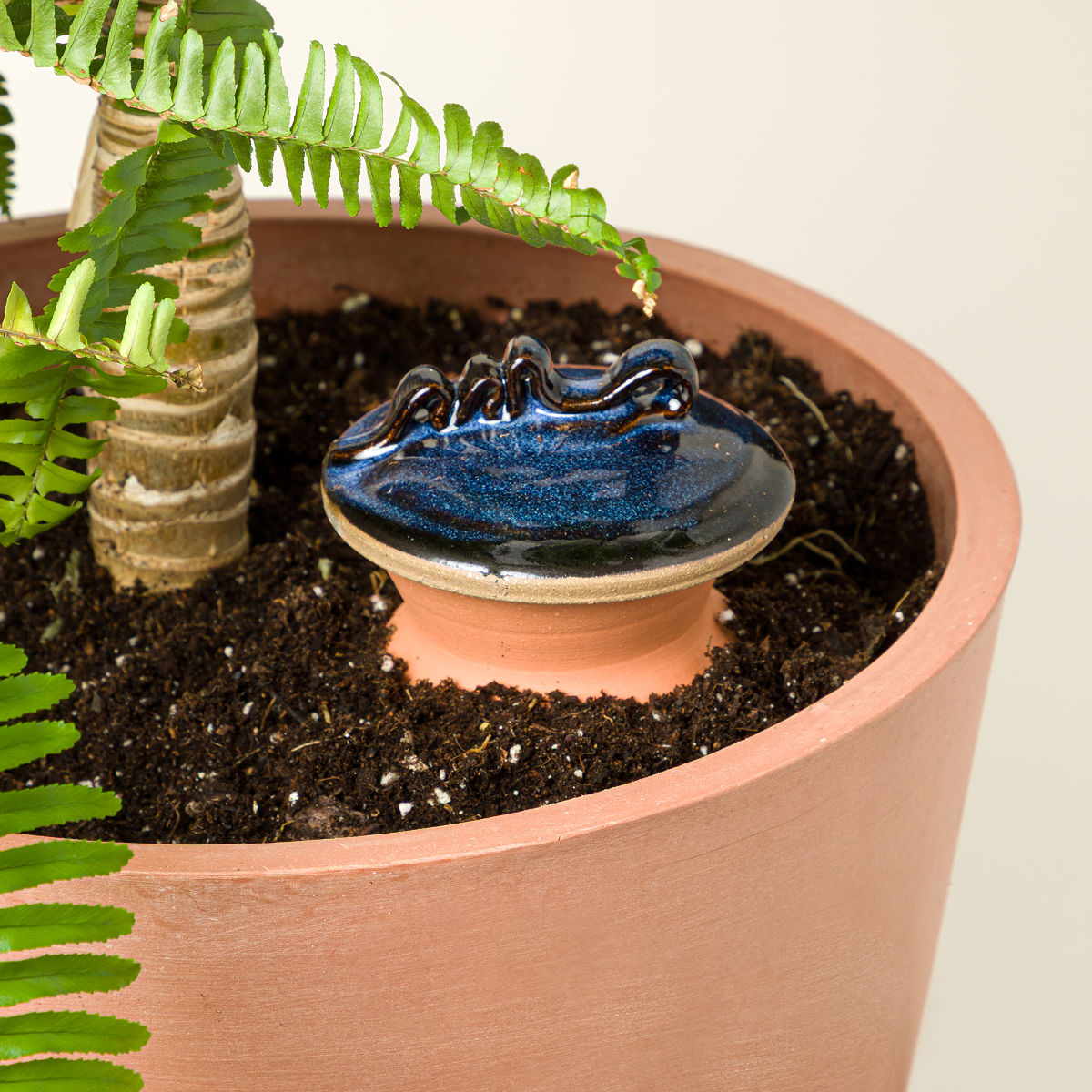 Self-Watering Terracotta Olla