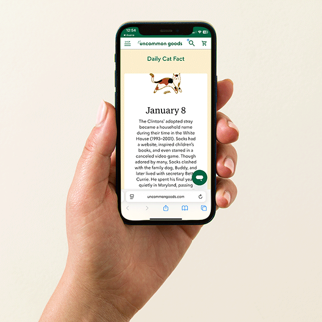 Cat Lover Interactive QR Mug