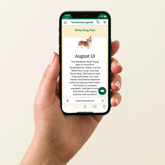Dog Lover Interactive QR Mug