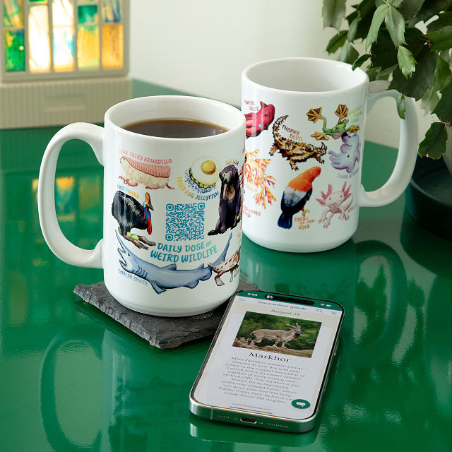 Weird Animals QR Mug