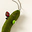 Pickleball-Playing Pickle Ornament thumbnail 2