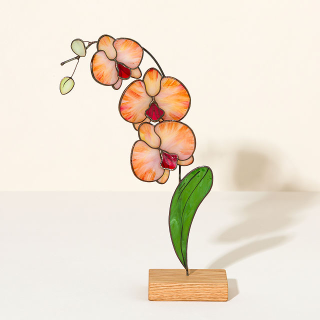 Everlasting Stained Glass Orchid