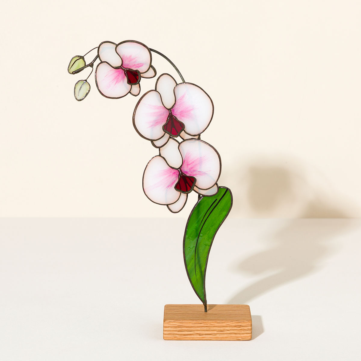 Everlasting Stained Glass Orchid - Rose