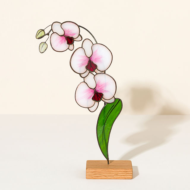 Everlasting Stained Glass Orchid
