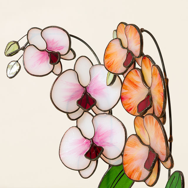 Everlasting Stained Glass Orchid