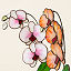 Everlasting Stained Glass Orchid thumbnail 2