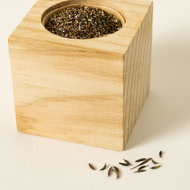 Chocolate Flower Grow Kit