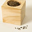 Chocolate Flower Grow Kit thumbnail 2