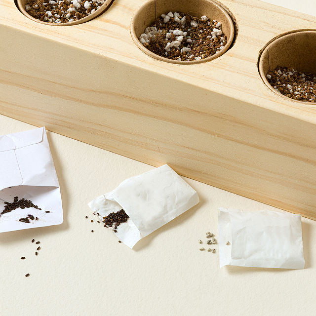Cocktail Garden Starter Grow Kit