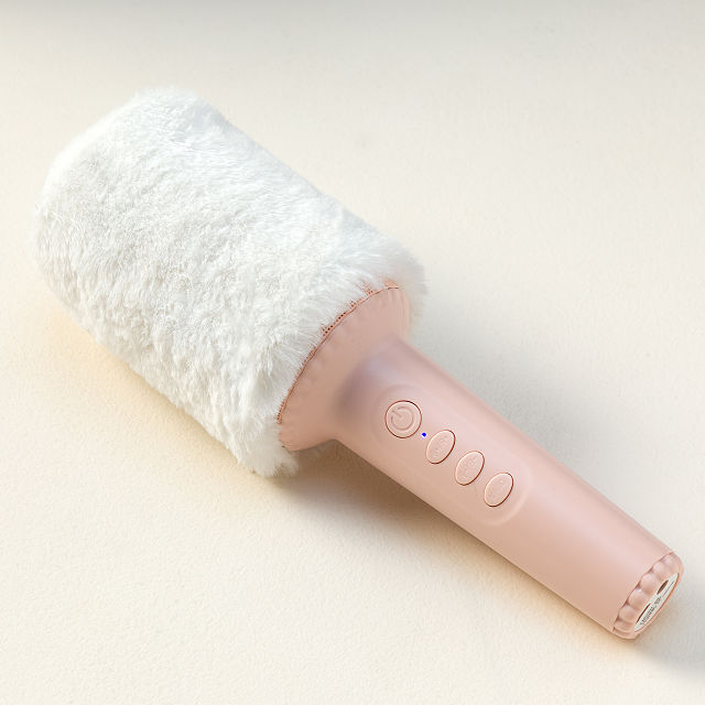 Voice Changing Karaoke Microphone Speaker