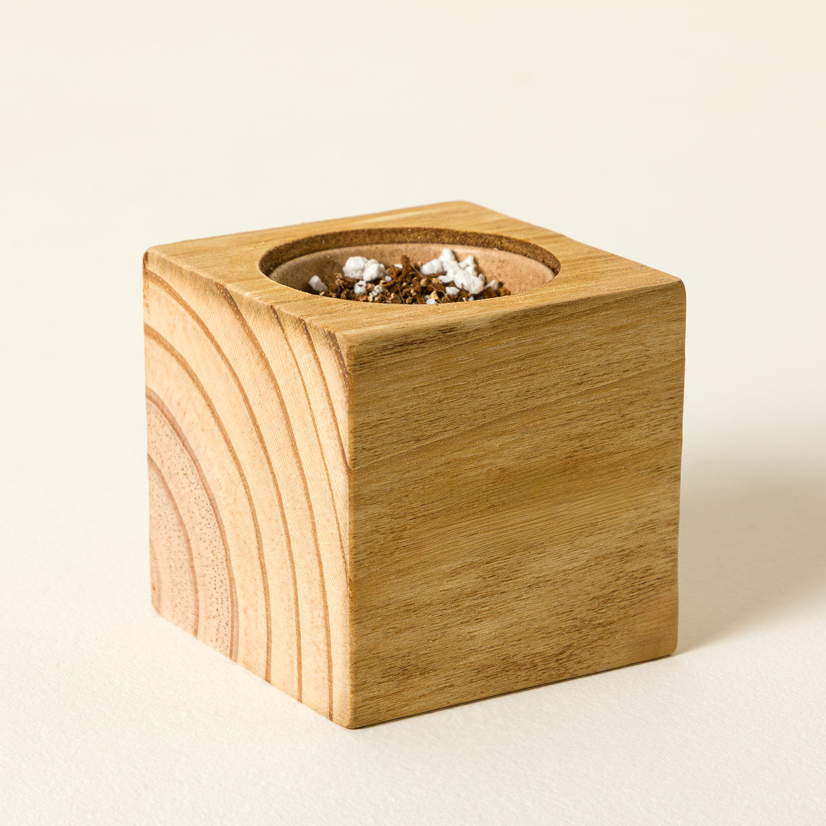 Mini Christmas Tree Kit