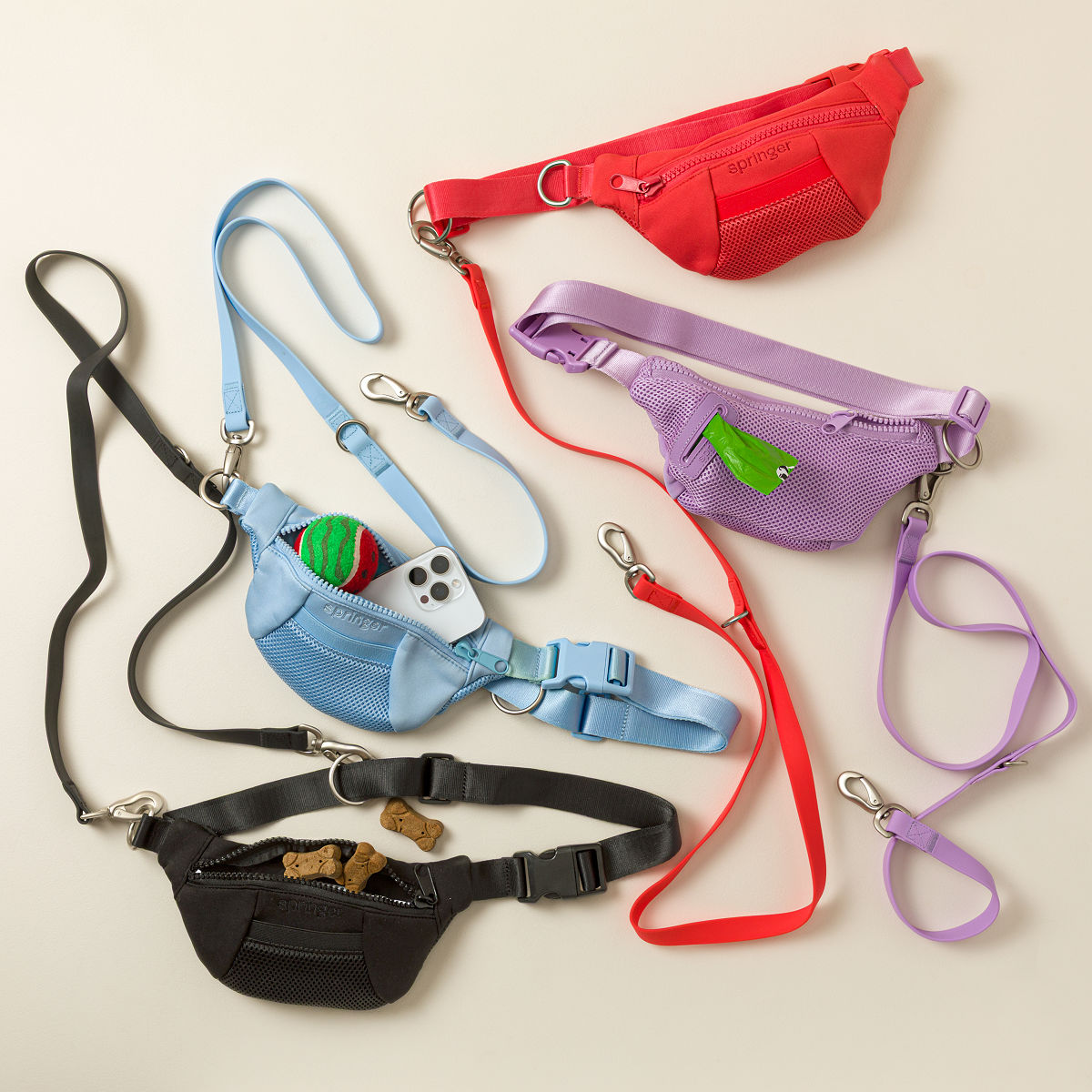 4-in-1 Hands-Free Dog Walking LeashBag