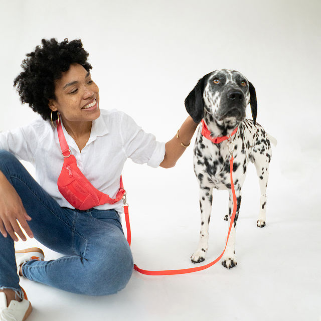 4-in-1 Hands-Free Dog Walking Leash&#160;Bag