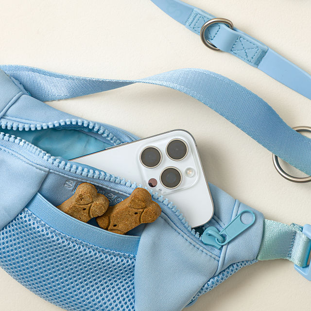 4-in-1 Hands-Free Dog Walking Leash&#160;Bag