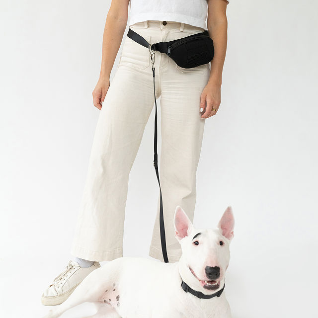 4-in-1 Hands-Free Dog Walking Leash&#160;Bag