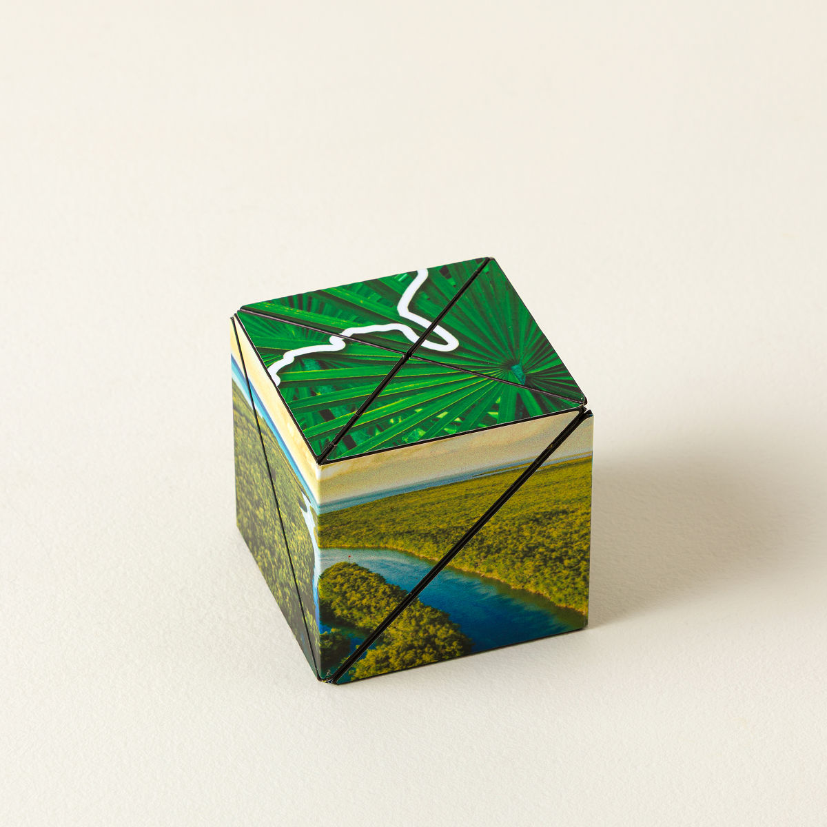 National Parks Fidget Puzzle Cube - Southeast