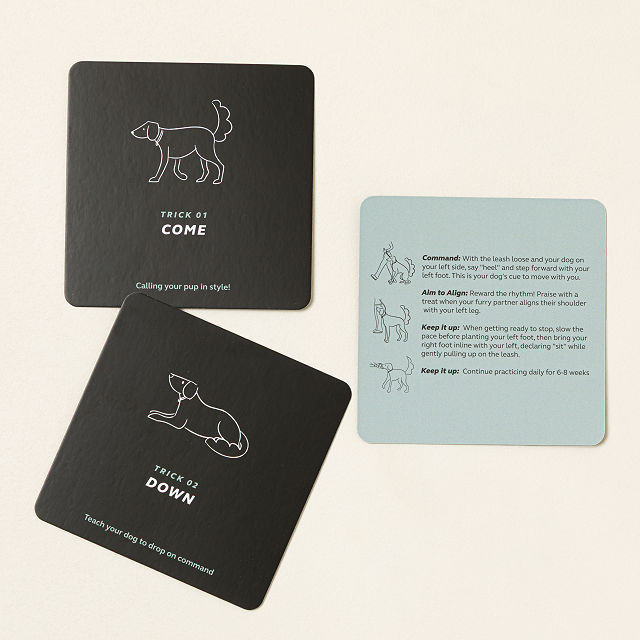 Puppy Party Trick Training Set