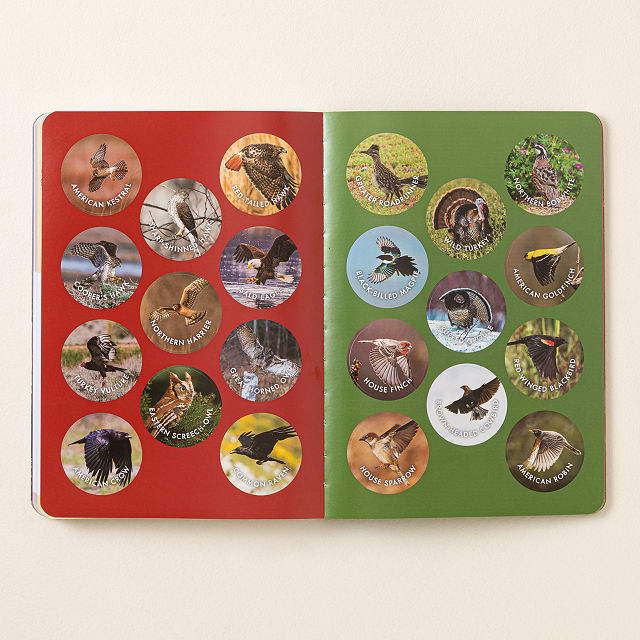 Bird Watchers' Field Guide of North America