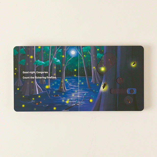 National Parks Slide to Explore Board Book Set