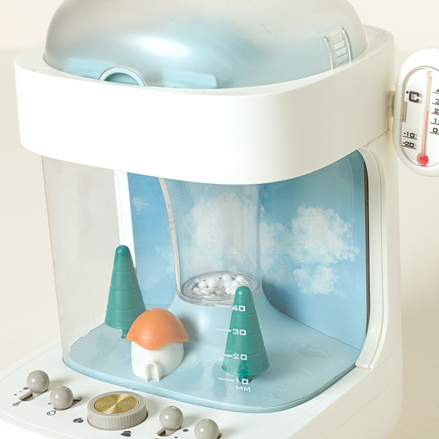 Weather Experimentation Station