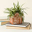 A Place To Bloom Terracotta Planter thumbnail 1