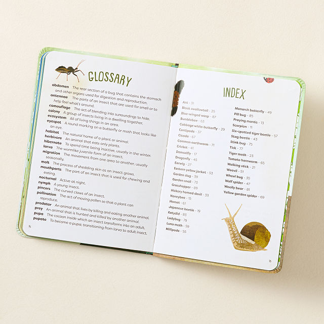 Kid's Guides to Backyard Birds & Bugs Set